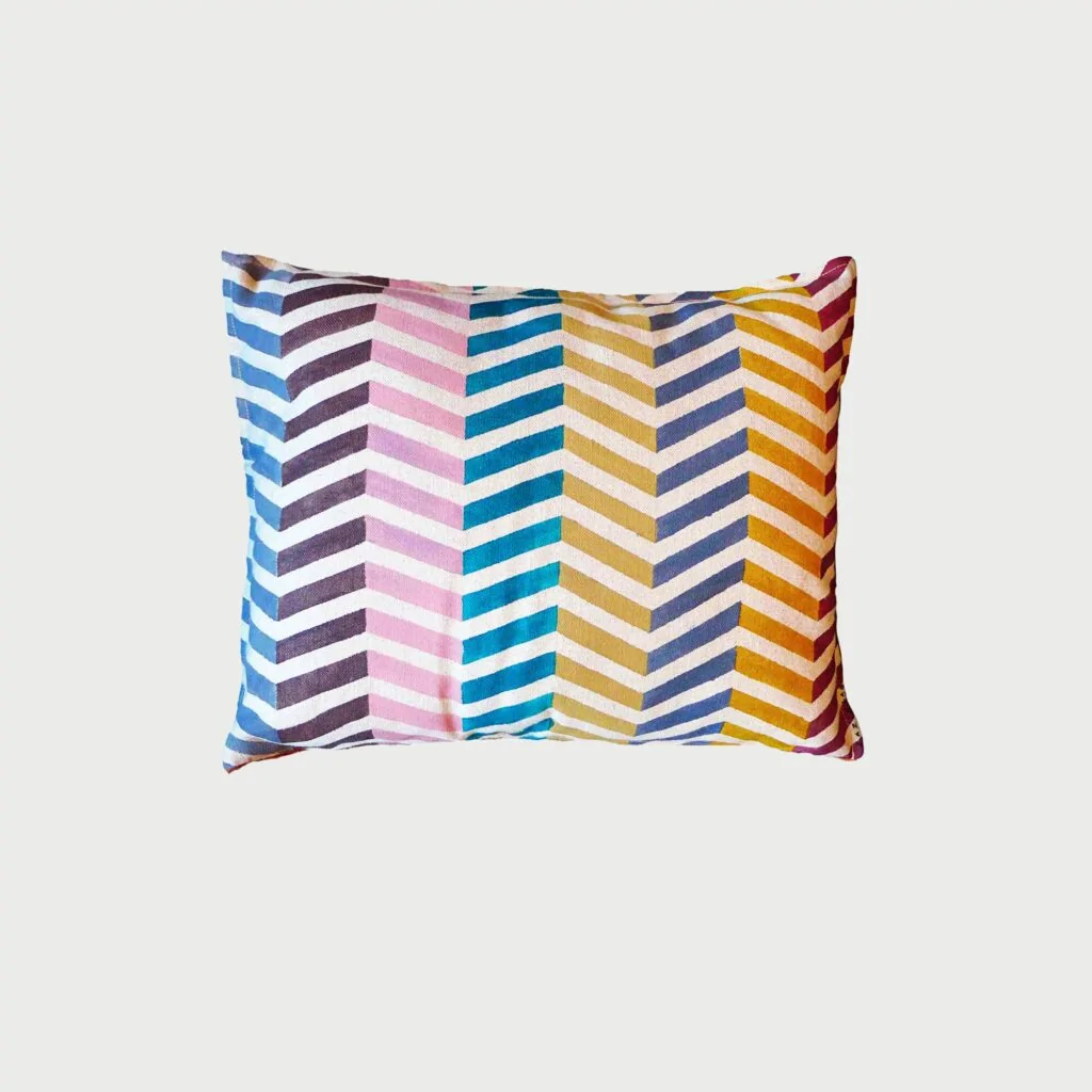 cushion spiga multi
