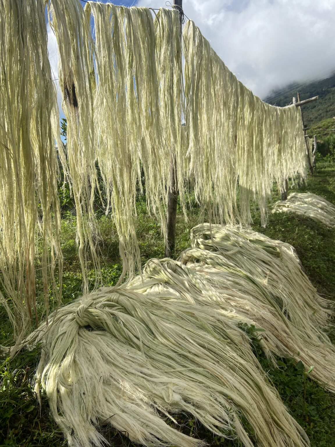 img 7555