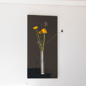 Maxime Lis — soliflore mural